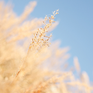 福利社在线视频
